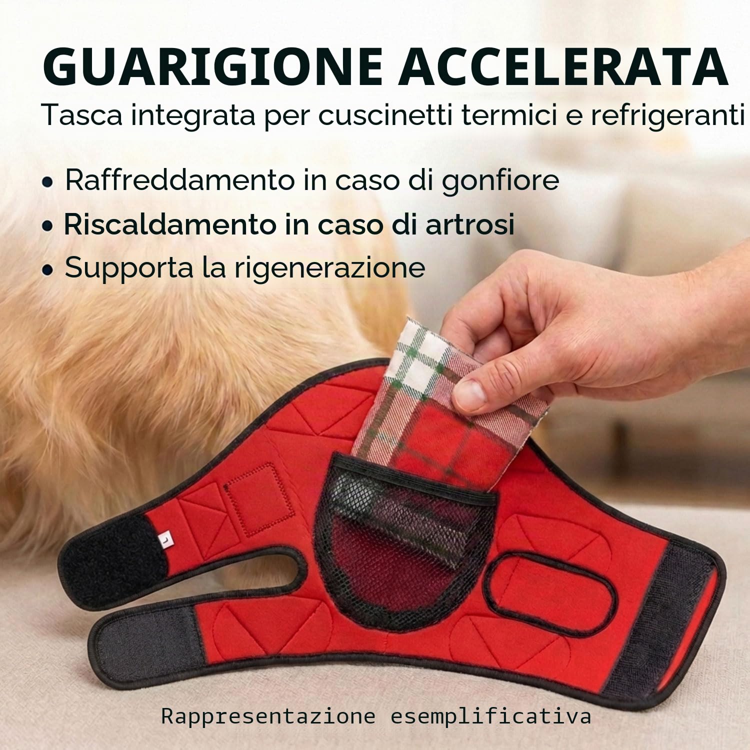 Tutore contro piaghe da decubito/tutore per calli/benda per il gomito/tutore per cani con igroma - Grigio - XS