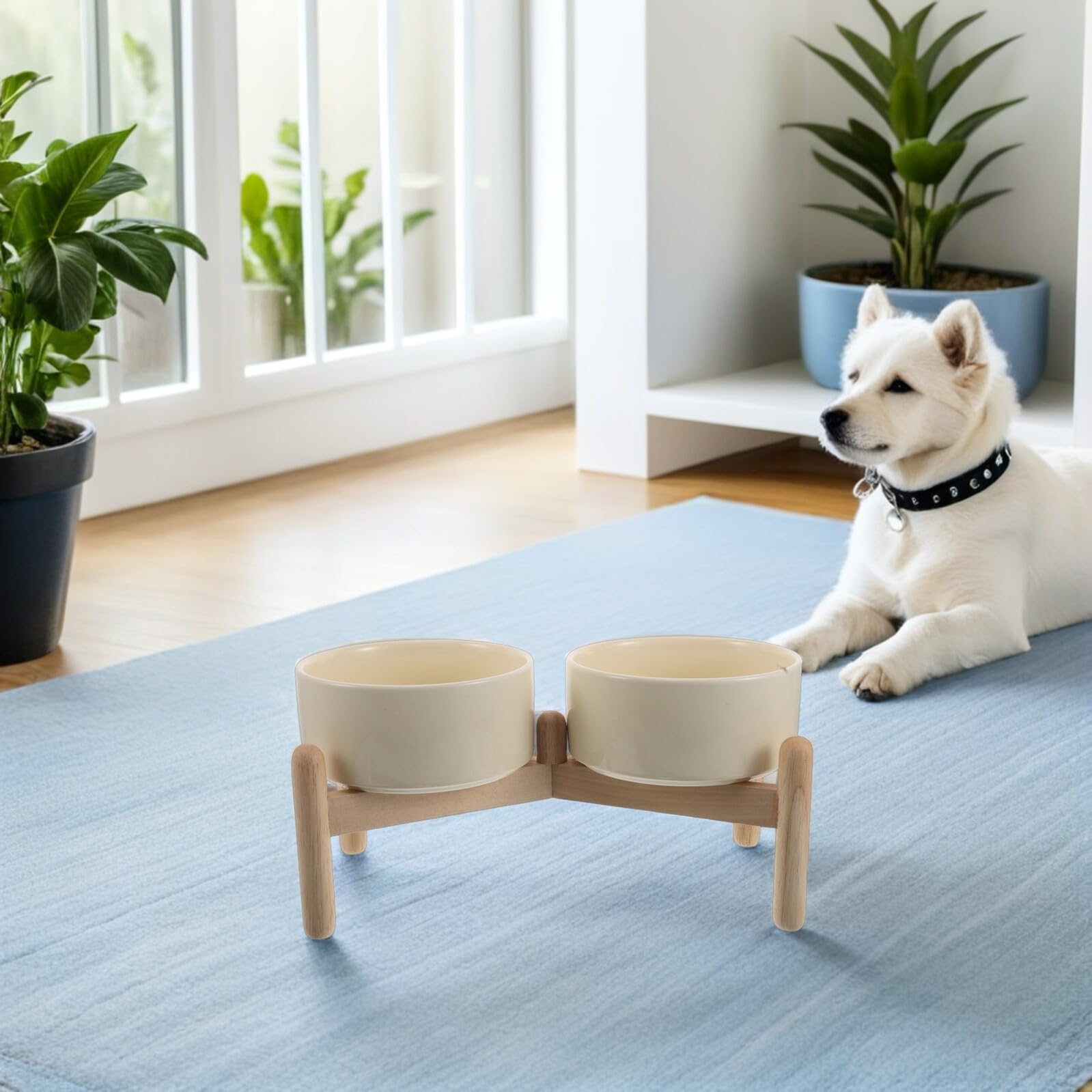 Podwyższona Ceramiczna dla Psa z Drewnianym Stojakiem Podwójne Antypoślizgowe Naczynia Karmę i Wodę Podniesione Miski dla Małych Ras Trwałe i Łatwe Do Czyszczenia