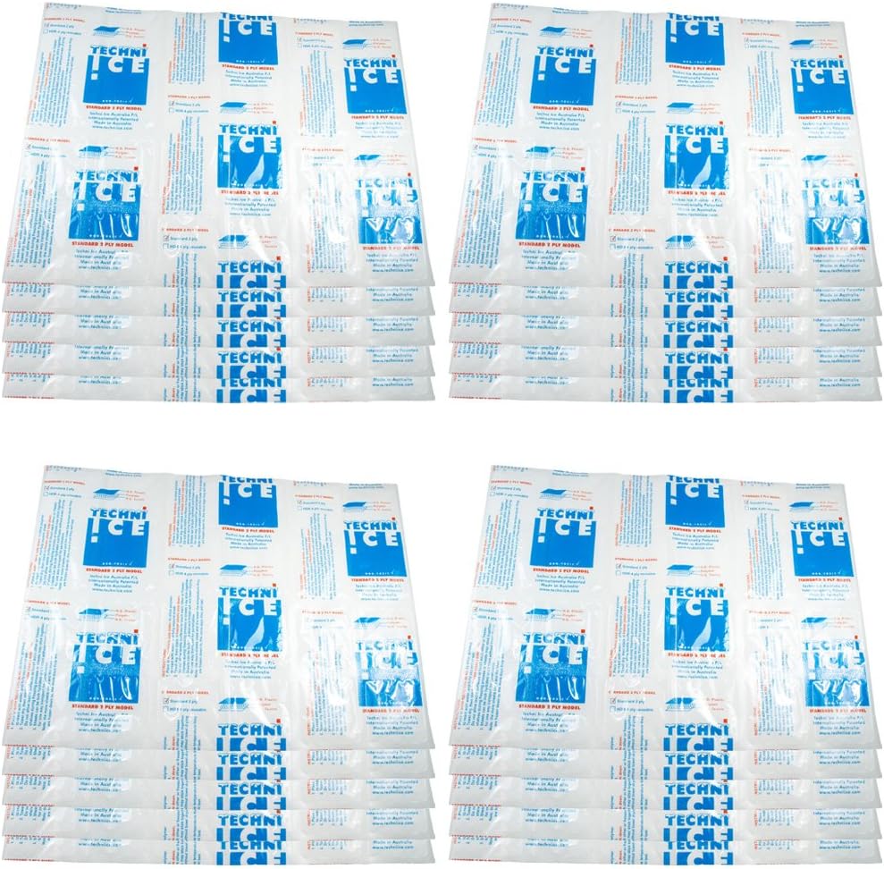 Techni Ice Standard 2 Ply Disposable/One to Two-time Use Dry Ice Replacement Sheets (20)