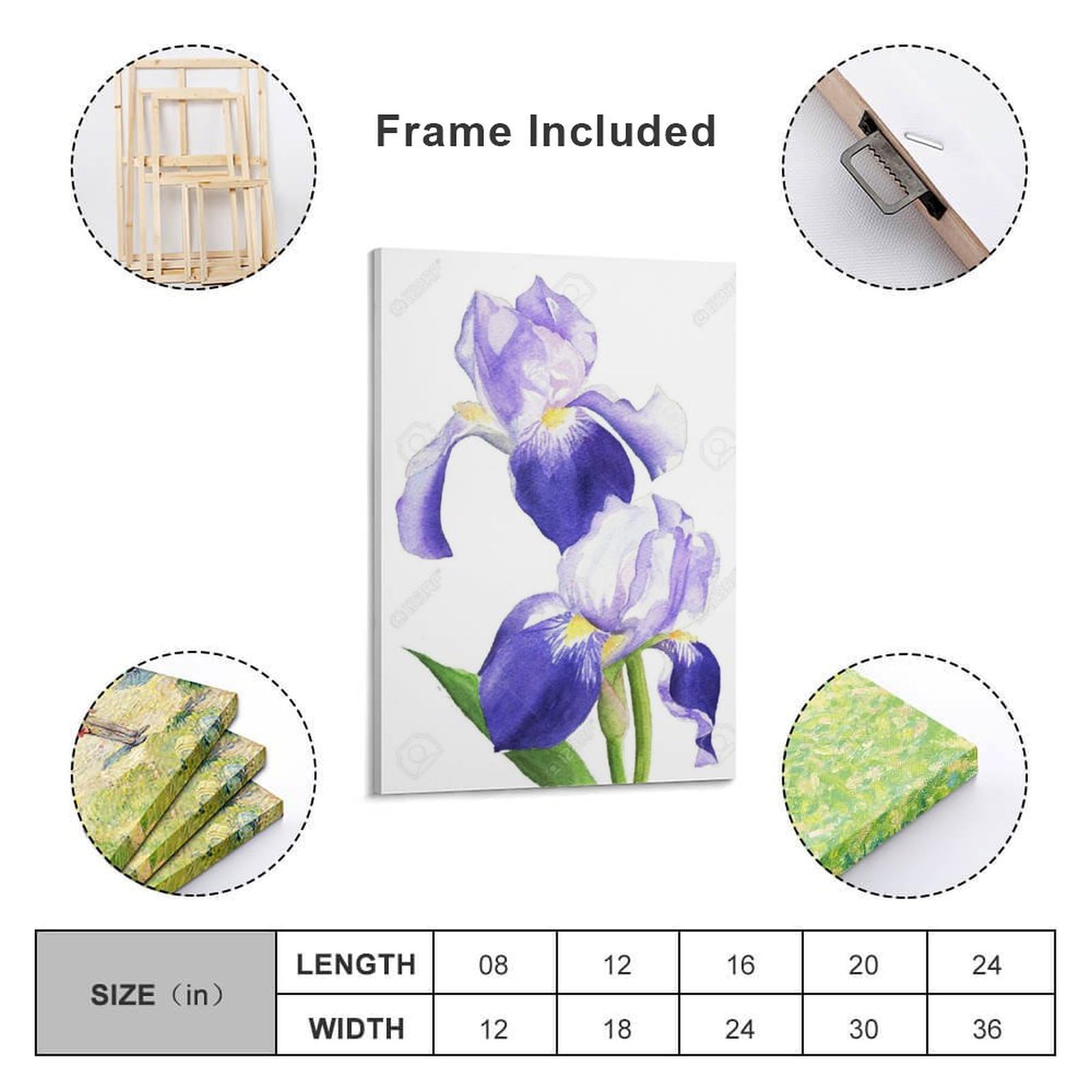 Amazon.co.jp: 水彩画イラスト紫色のアイリスの花植物 絵画