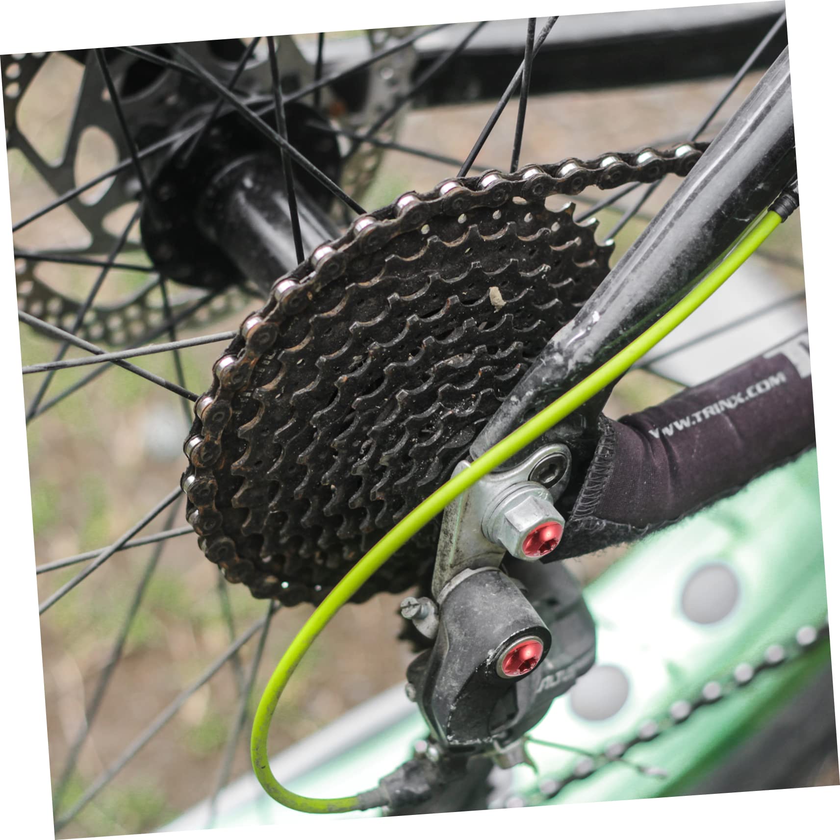 GOOHOCHY 12 Pcs Bike Brake Disc Screws Color Disc Rotor Bolts Easy to Install Perfect for Mountain Bikes