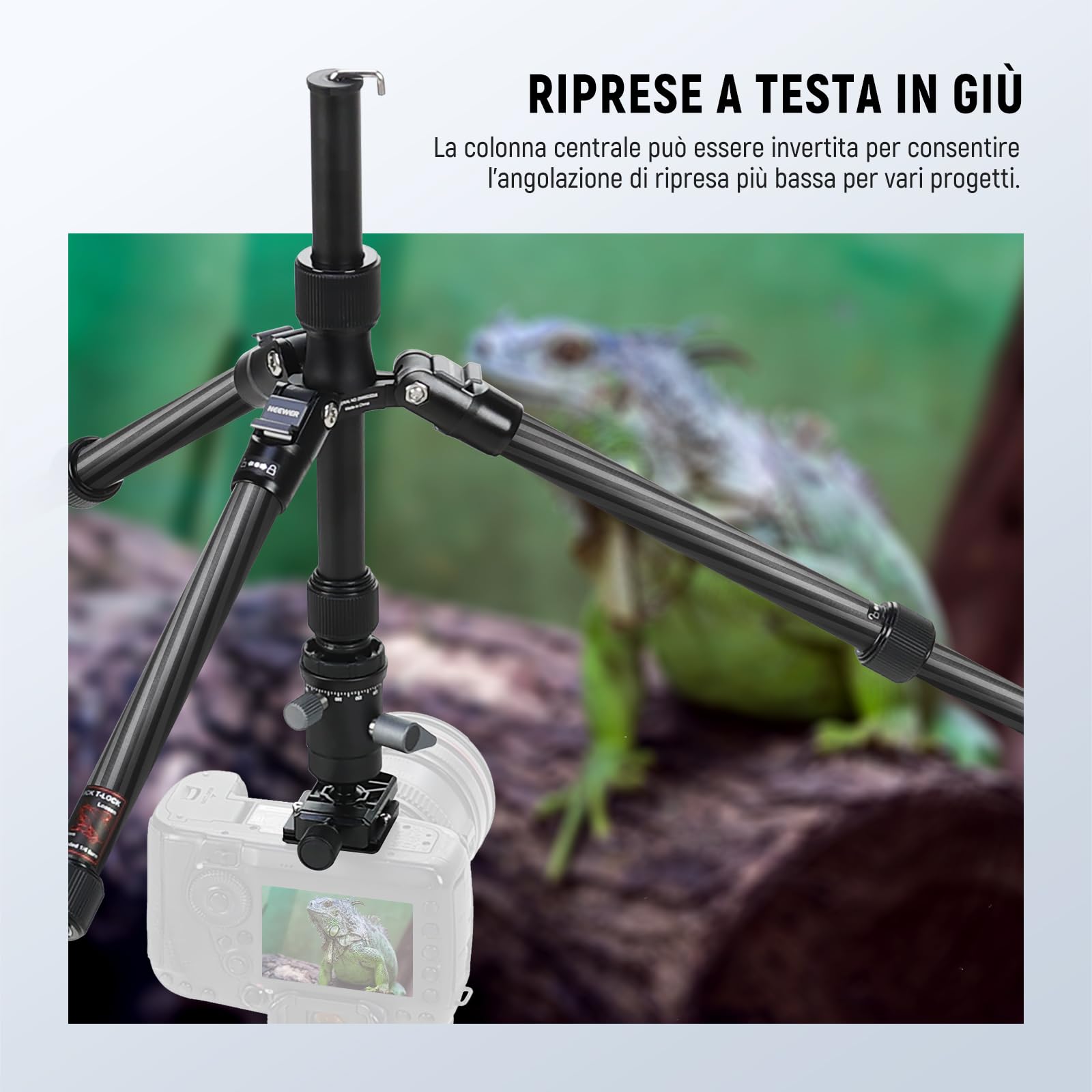 NEEWER Monopiede Treppiede Fotocamera in Fibra Carbonio, 65" DSLR Video Tripod da Viaggio Leggero, Testa Sfera a 360°, Piastra QR Antiscivolo, Asse Centrale Invertito, Gambe Reversibili, Max 6kg,TP39