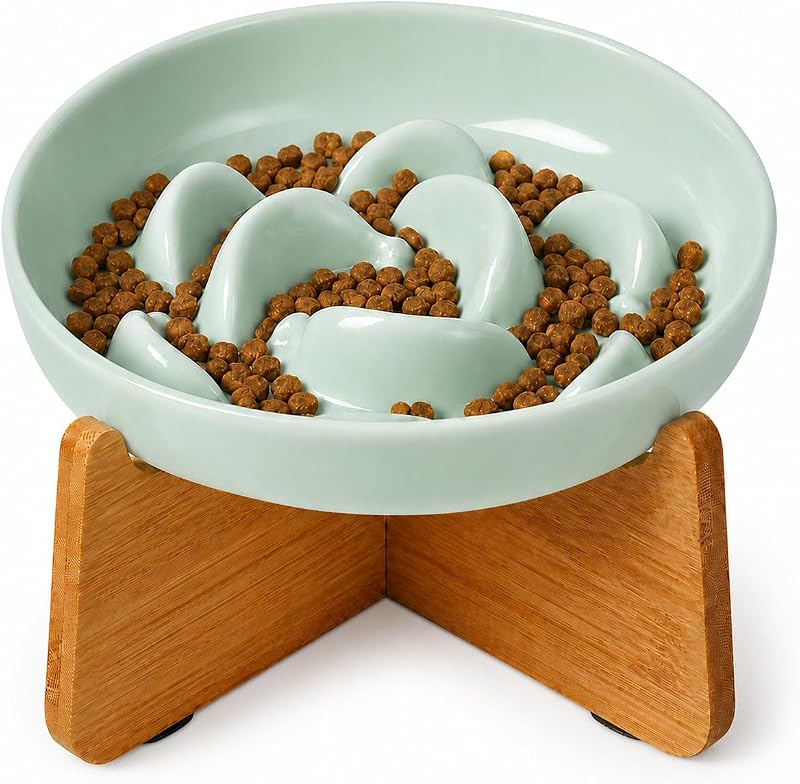Comedouro lento elevado para gatos PTOBER com tigela de melamina e suporte de bambu antiderrapante — Verde-menta