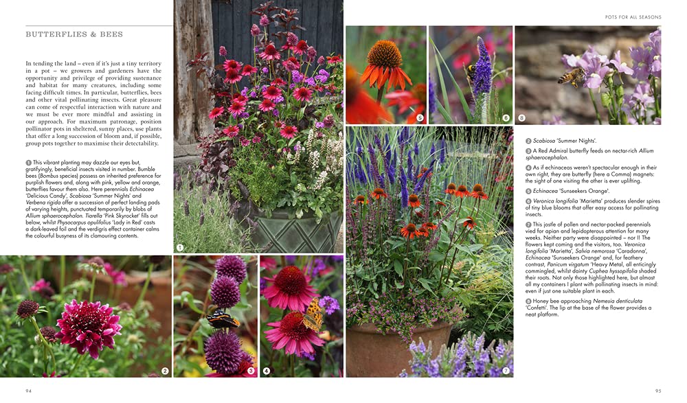 Pots for All Seasons