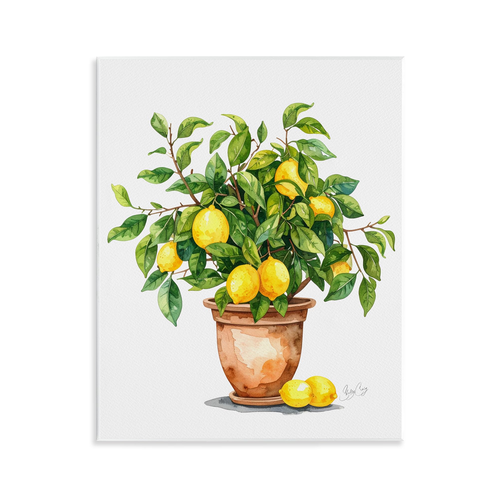 Stupell Industries 'Potted Lemon Tree', Wall Plaque Art, 11 x 14 Inches, Easy to Hang and Sturdy, Made in USA, by Shelly Craig