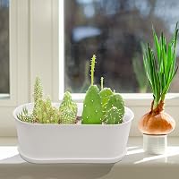 SYITCUN 5 db 22 cm-es fehér műanyag virágcserép szögletes konyha balkon ablakpárkány 7