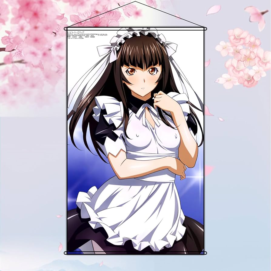 Amazon.co.jp: タペストリー 一騎当千ikkitousen 典韋 ポスター アニメ