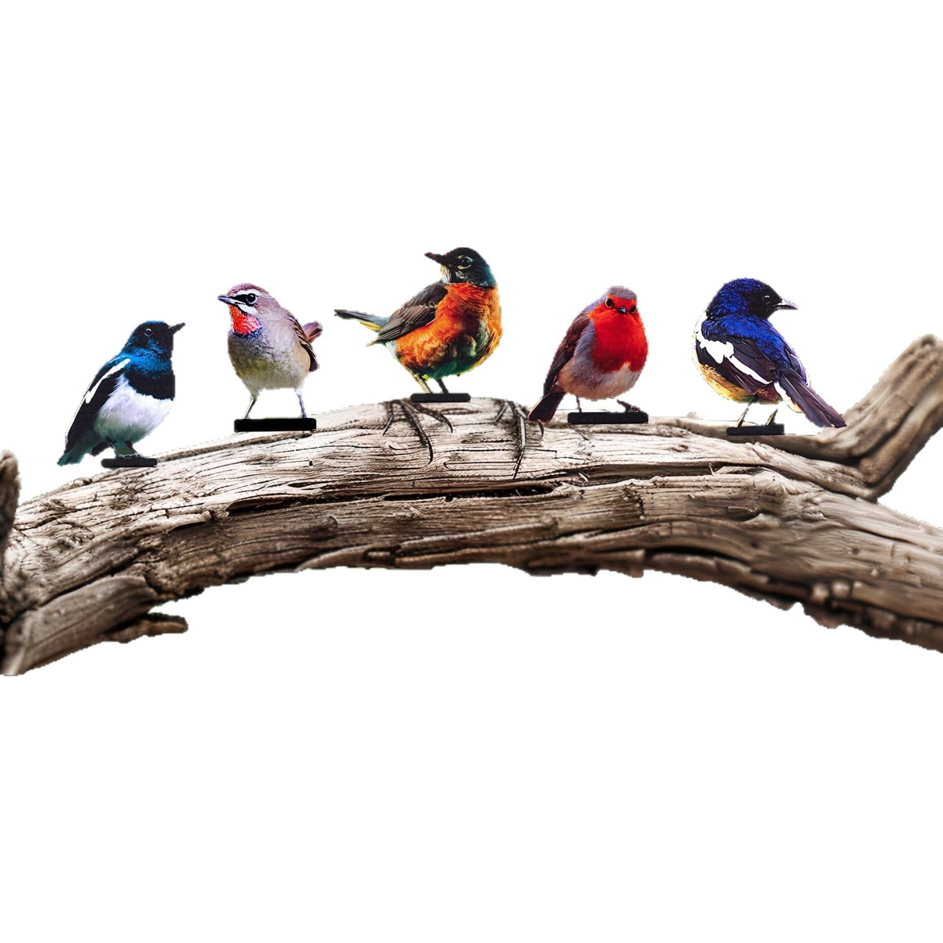 Oiseau en métal pour clôture et décoration de jardin colorée 2D