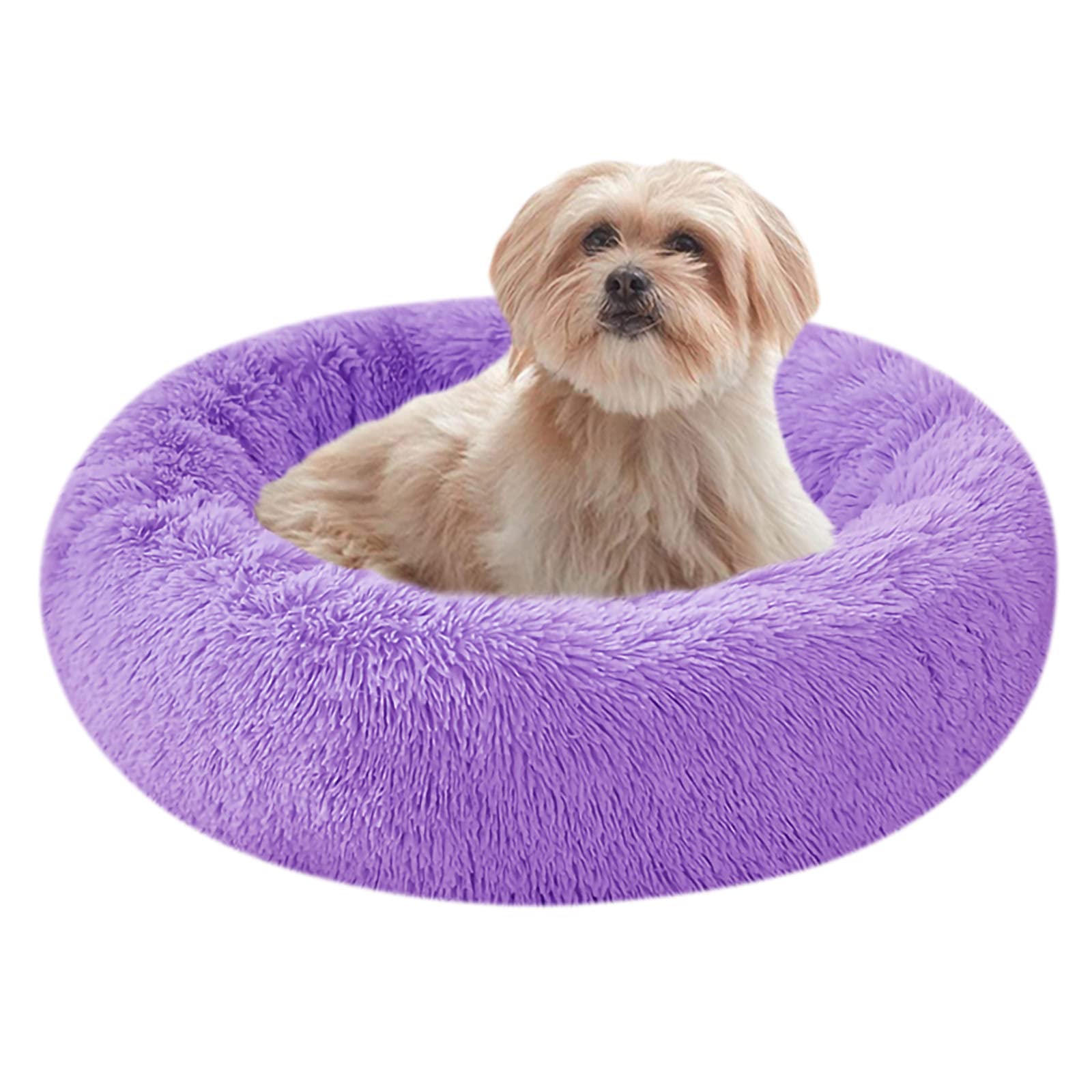 Do Dogs Really Need Beds