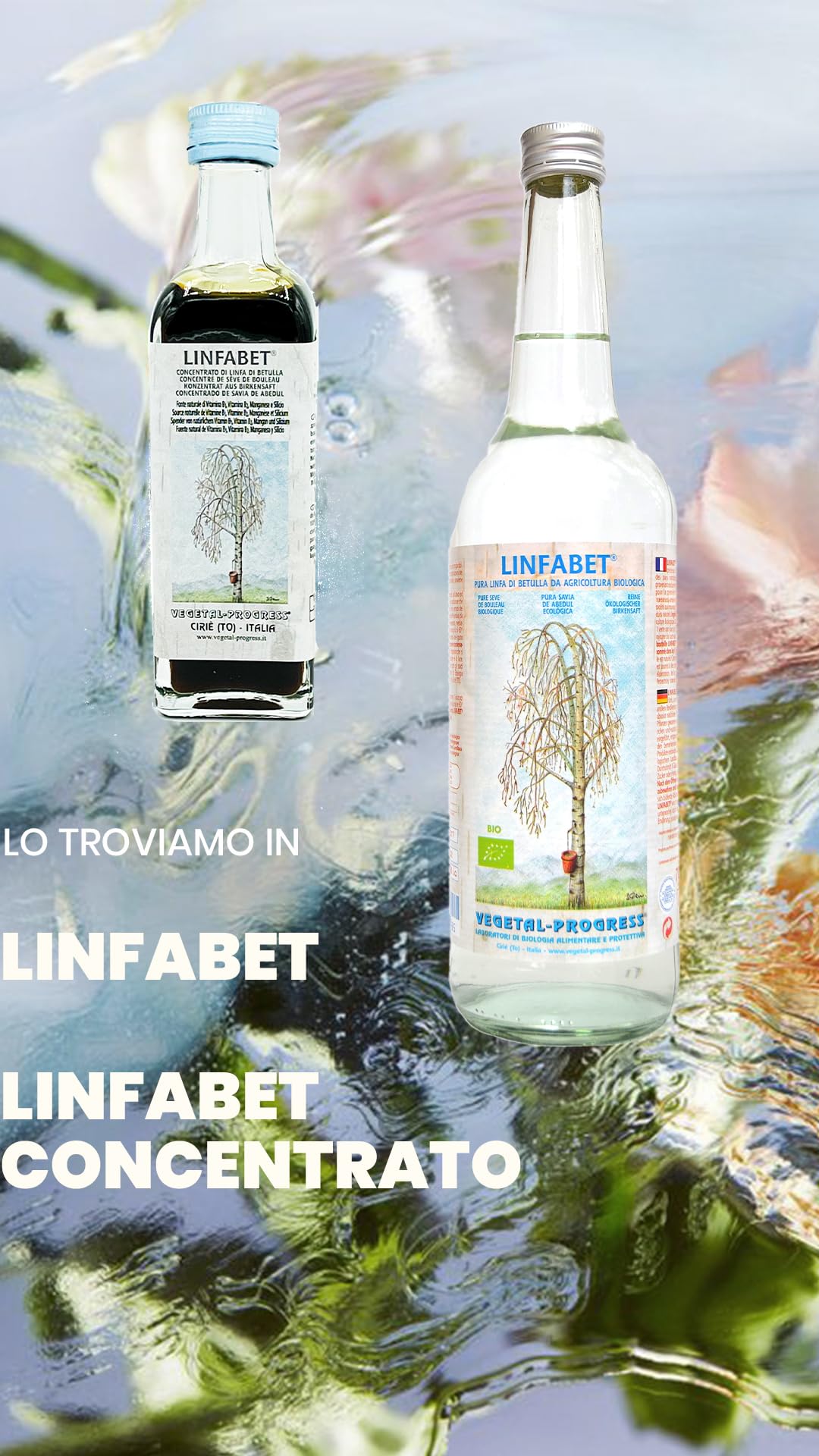 Vegetal Progress - Linfabet - Linfa di Betulla - 4 bottiglie da 700 ml (3+1 gratuita)