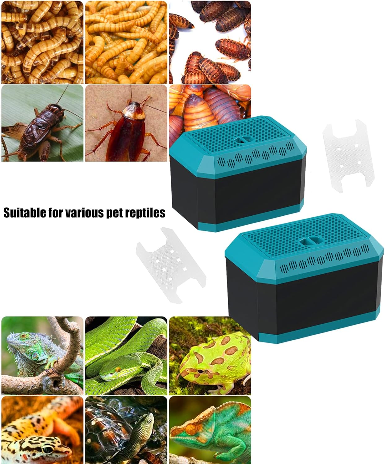 ordinarYone Breeding Container Habitat Box For Cockroaches And Mealworms With Ventilation Holes And Climbing Ladder