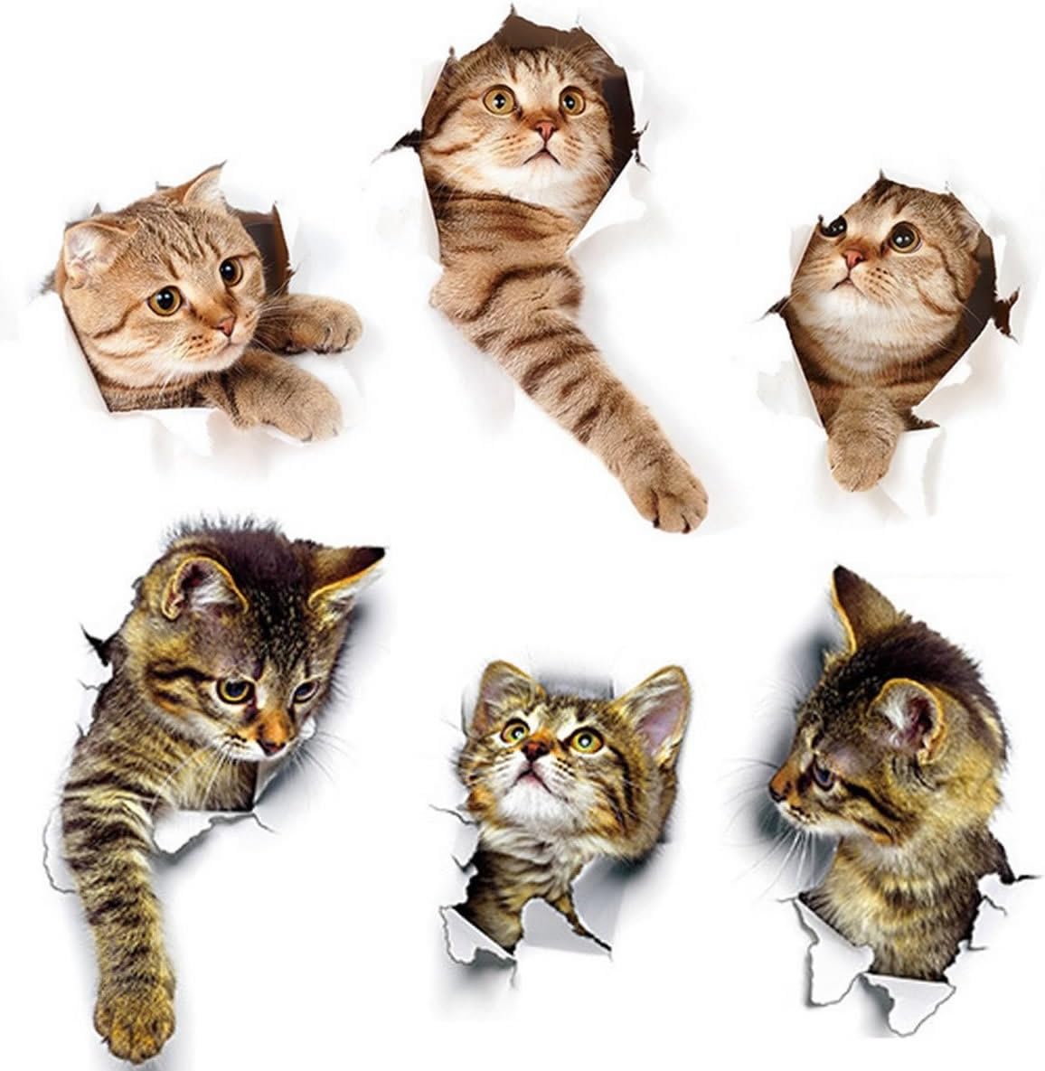 chaoqunuk 3D Wall Decals Stickers Vivid Decors Murals (Cat) for Room Home Removable Wall Art Decals Wall for Kids Rooms DIY Home Decoration (6 Pcs)