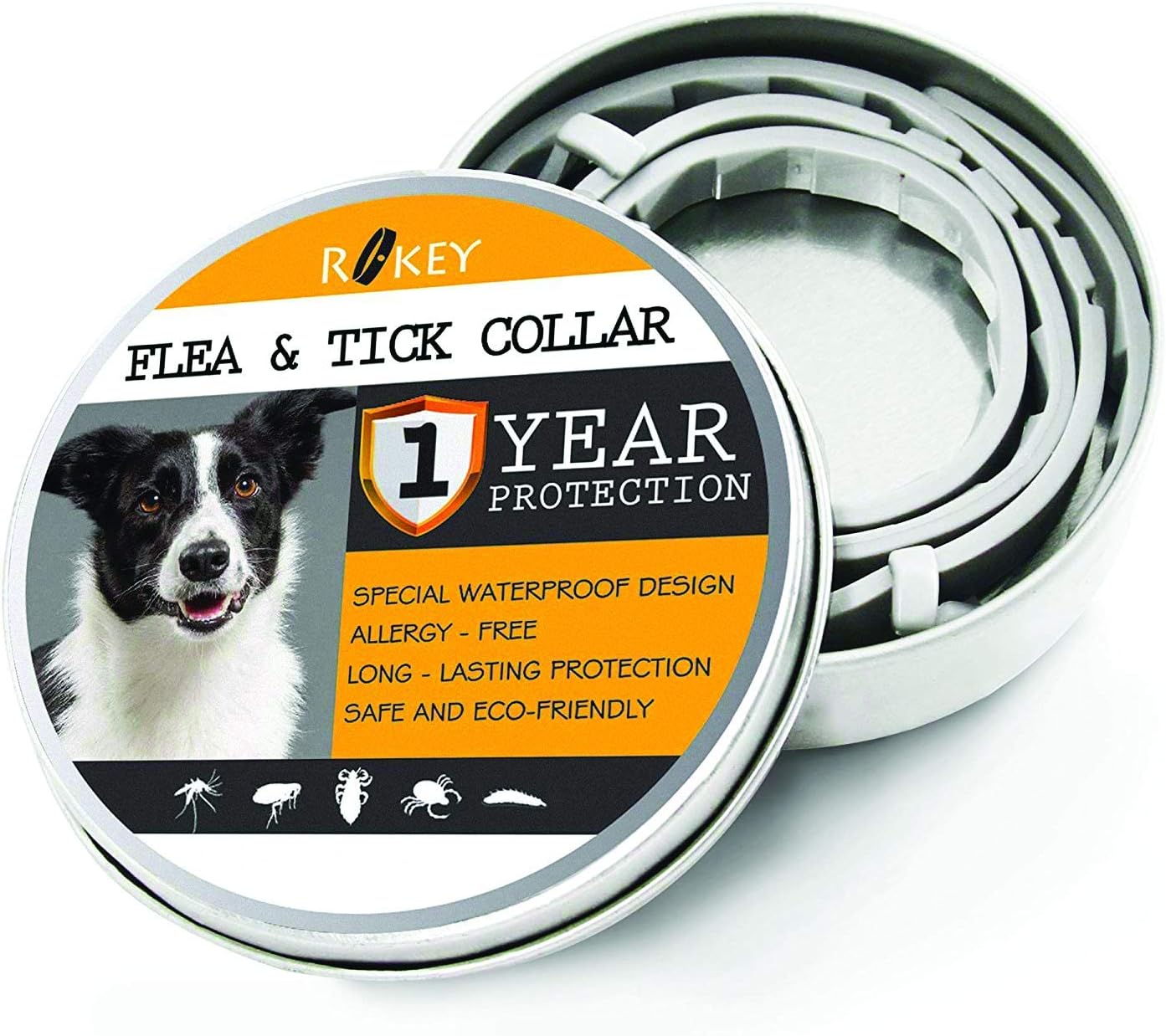 collare per l'addestramento dei cani