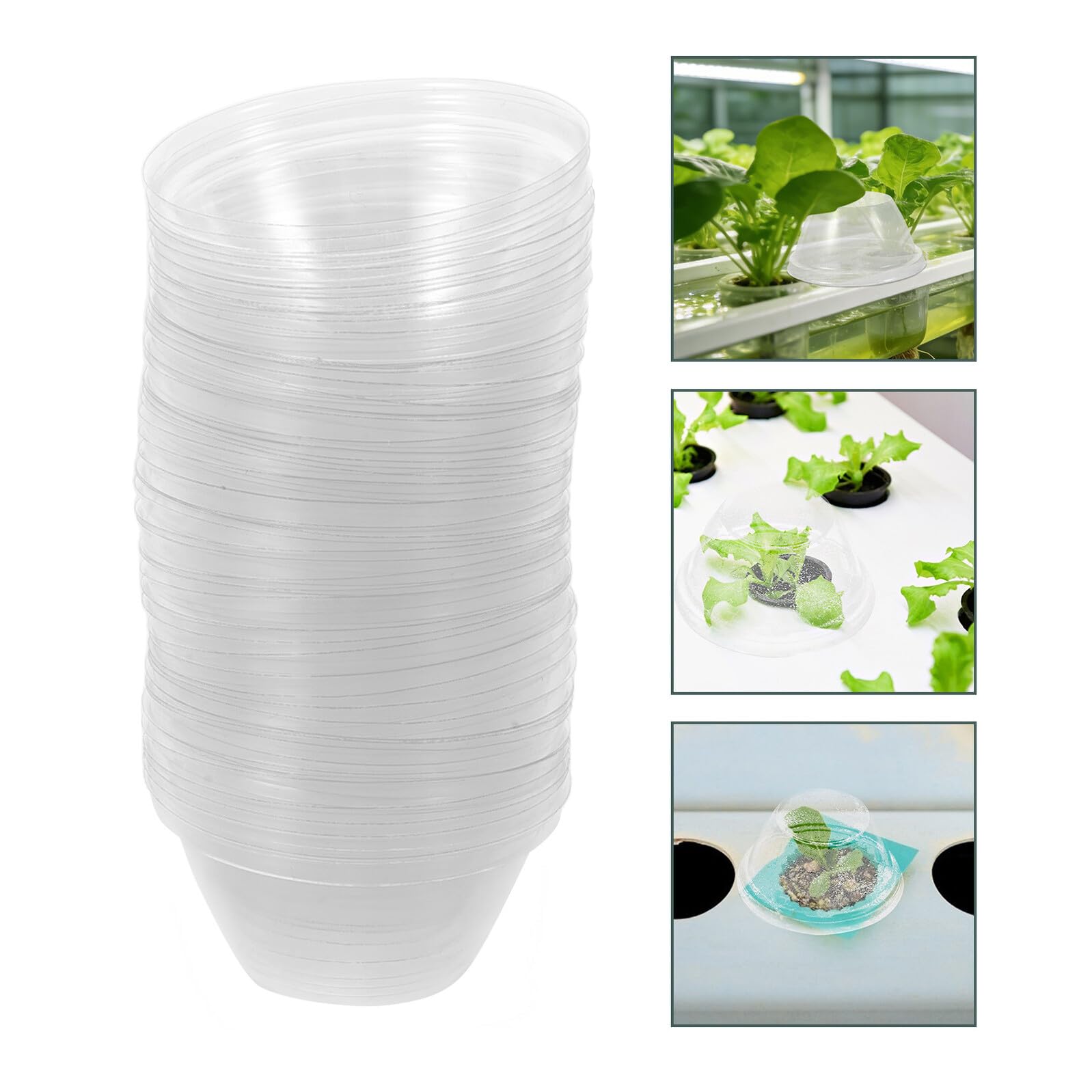 TOYANDONA 200 Unidades Cúpulas Protectoras para Plantas Cubierta Transparente de Plástico para Invernadero y Cultivo Hidropónico Campana para Macetas de Vivero Resistente al Frío y