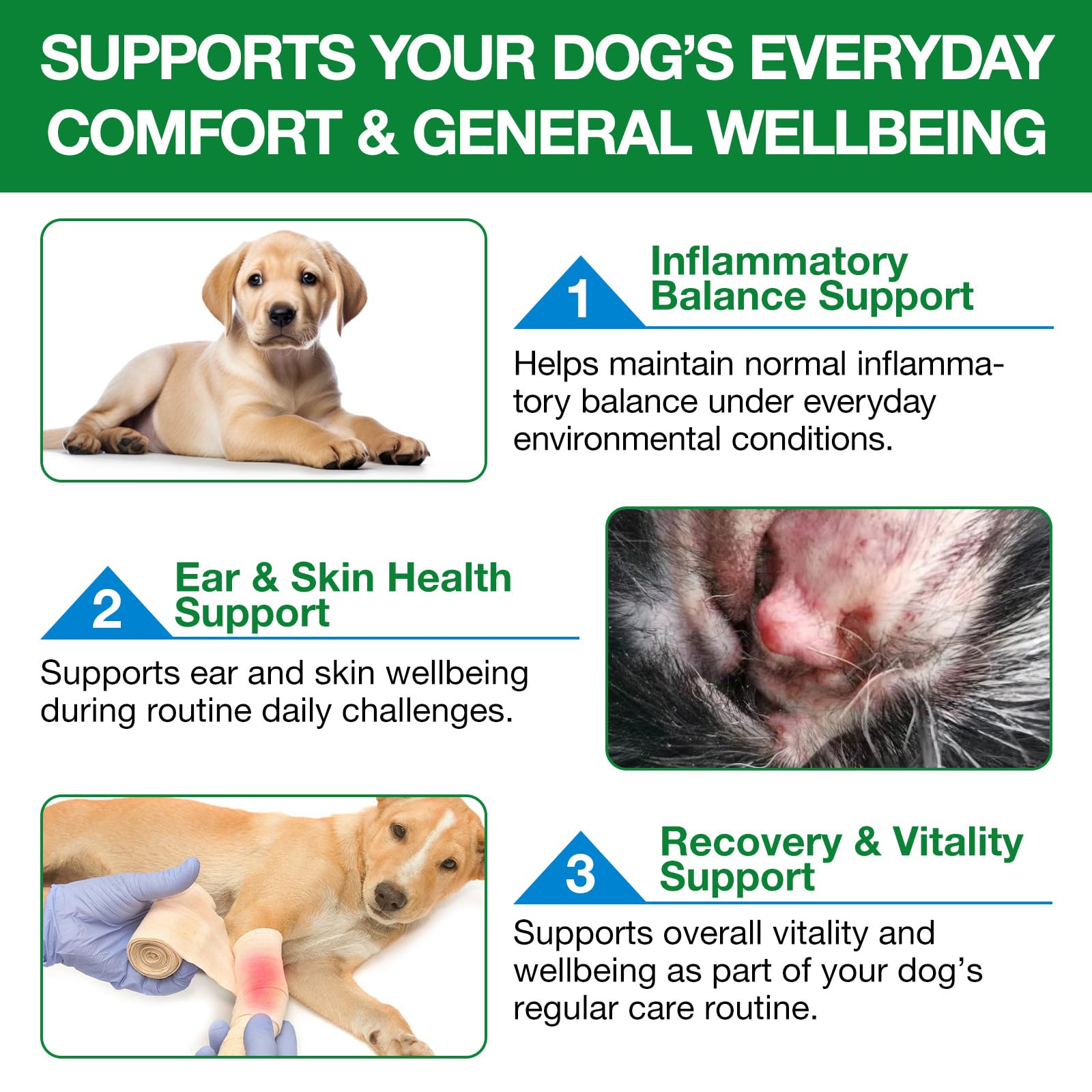 Antibiotika für Hunde-60ml，Hund Antibiotika，Natürliche Antibiotika für Hunde，juckende Haut Relief，Unterstützt Allergie Relief，Hund Antibiotika für Haut-Infektion-Bacon Flavor