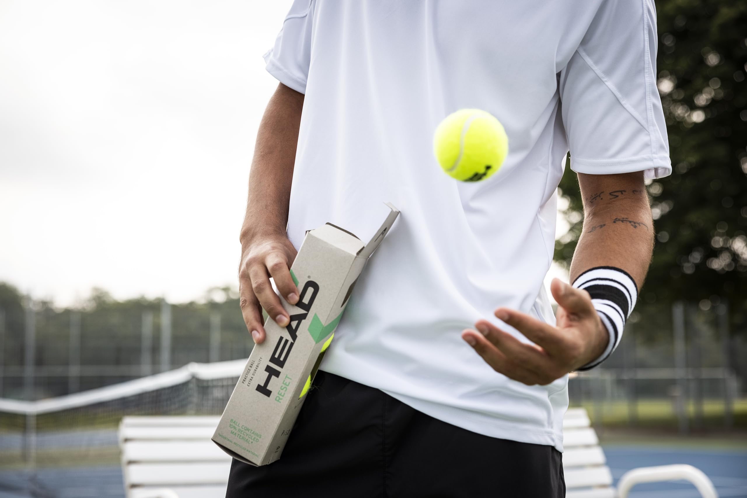 Head Reset Single Tin of 4 Tennis Balls