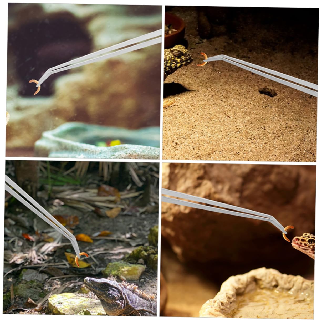 BESPORTBLE Reptile Feeding Tweezers Set 2pcs Long Metal Grabbers Comfortable Grip for Easy and Secure Pet Feeding