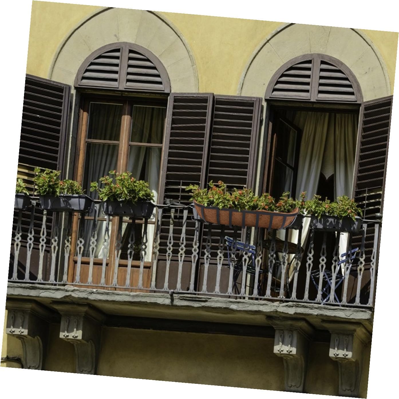 NUOBESTY Coconut Palm Hanging Basket Wall-Mounted Iron Flowerpot Holder 24-inch Half-Round Coir Liner Planter for Outdoor Patio Garden Plant Display