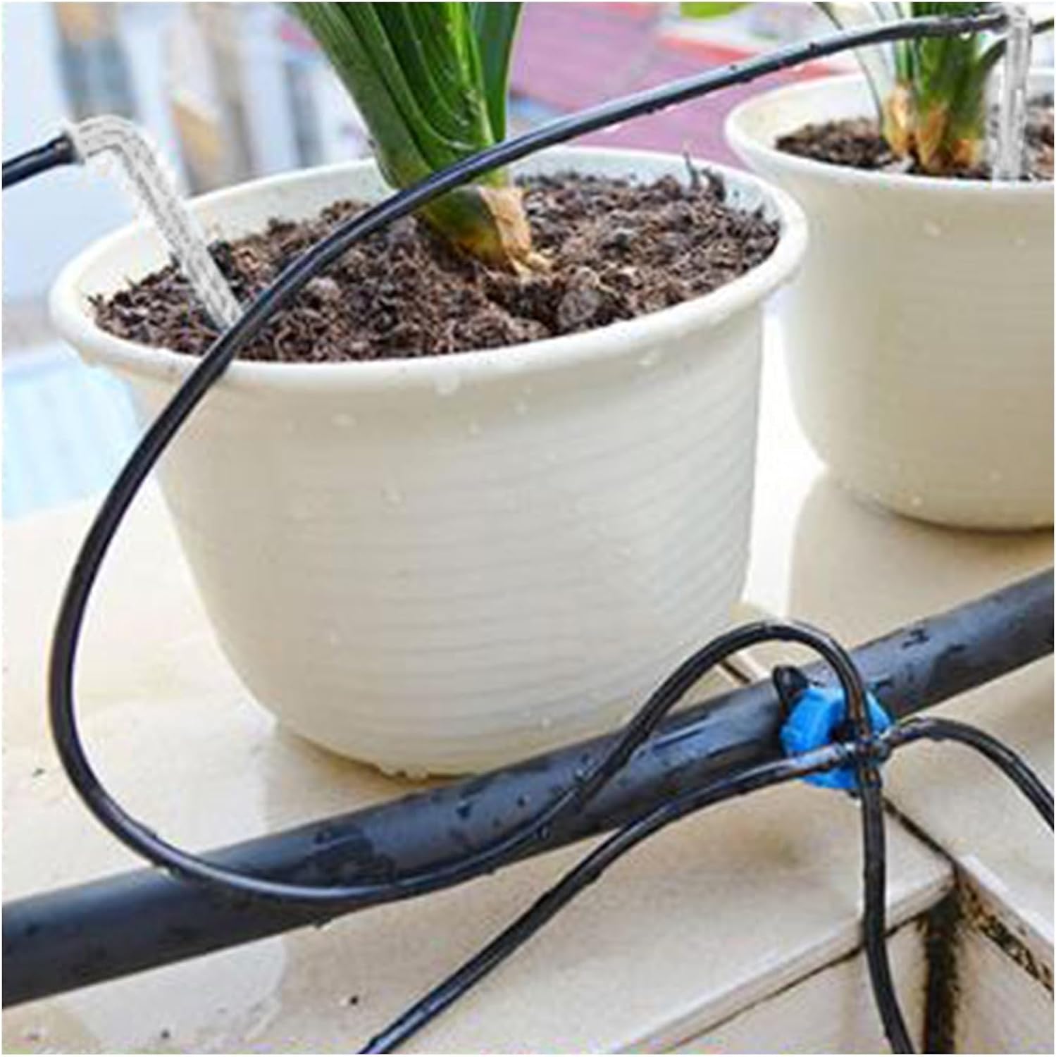 Irrigation System forgarden 100pcs Garden 2L/H 4L/H 8L/H Emitter Pressure Compensating Dripper Micro Irrigation Hose Drip Head Garden Sprinkler(2L)