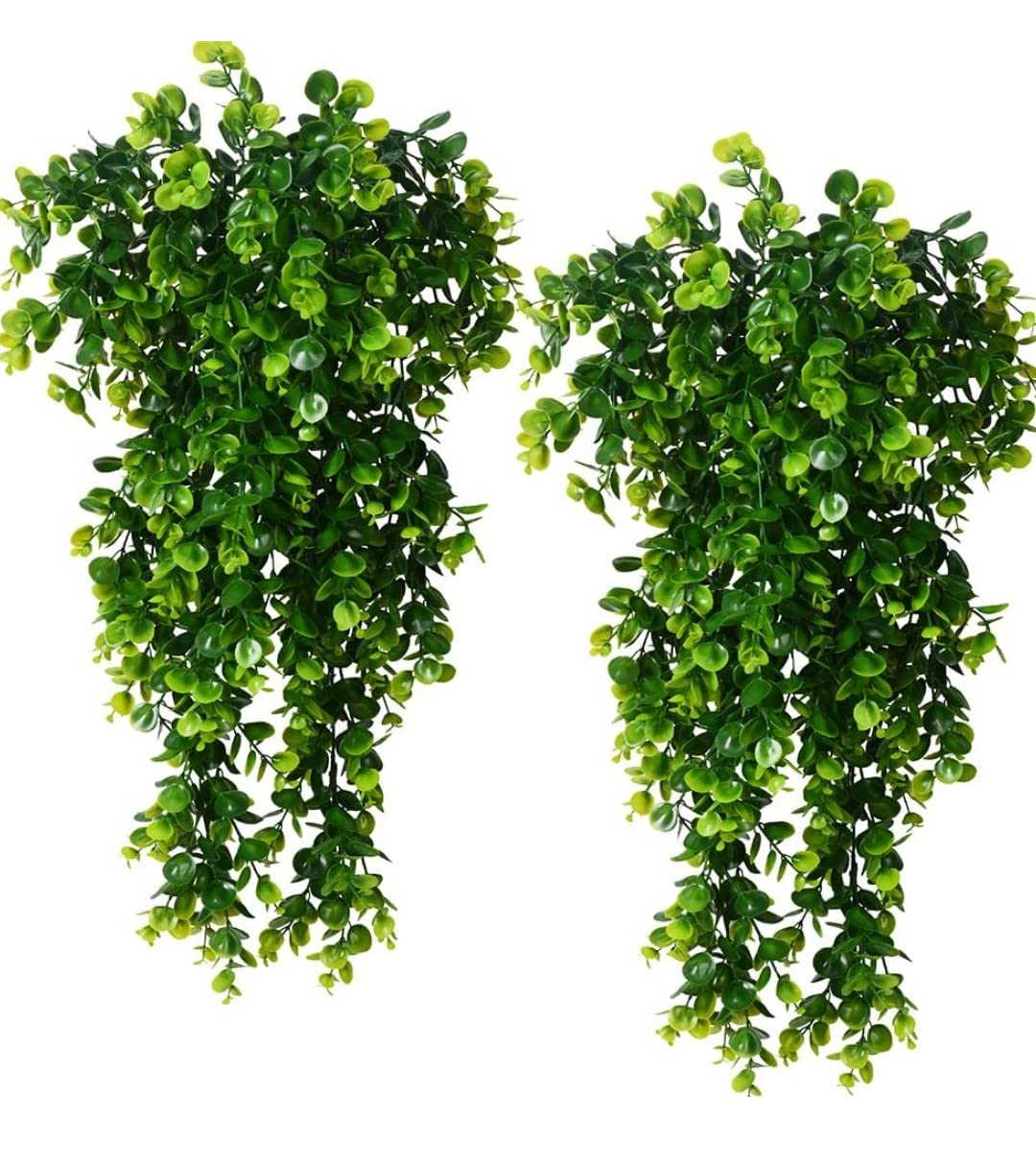 See full amazon price history chart for VRB Dec Plastic Tm Artificial Greenery Ferns Plants Vines Fake Ivy Hanging Flowers Vine Pine Needle Wall Hanging For Home Decor Door Wall Balcony Decoration Party Festival Craft (Euclyptus Hanging,2) VRB Dec Plastic Tm Artificial Greenery Ferns Plants Vines Fake Ivy Hanging Flowers Vine Pine Needle Wall Hanging For Home Decor Door Wall Balcony Decoration Party Festival Craft (Euclyptus Hanging,2) (B0BSV9YTQ1) Amazon Price History, Amazon Price Tracker
