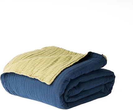 Salt Earth 100% Cotton Muslin Blanket, Gauze Blanket 50"X60" Throw, 4 Layered for Couch,Bed,Living, Summer Lightweight, All Seasons Blankets & Throws, Soft Boho,Travel FriendlyDress Blue/Mosstone