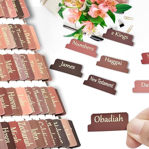 Vista 12 de Pestañas de la Biblia católica boho para mujeres/hombres/niños – 100 fichas laminadas, de índice del Antiguo y Nuevo Testamento para estudio