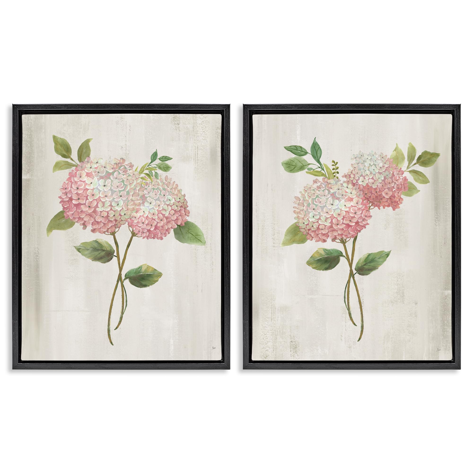 Stupell Industries Jet Black (Matte) 'Vintage Pink Hydrangea Pairs', 2Pc Floating Frame Art Set 2, Black, 25 X 31 Inches, Easy To Hang And Sturdy, Made In Usa, By Nan