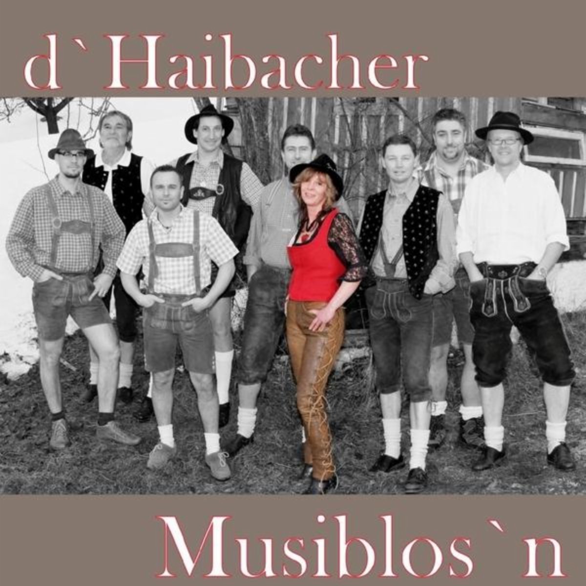 D' Haibacher Musiblos'n