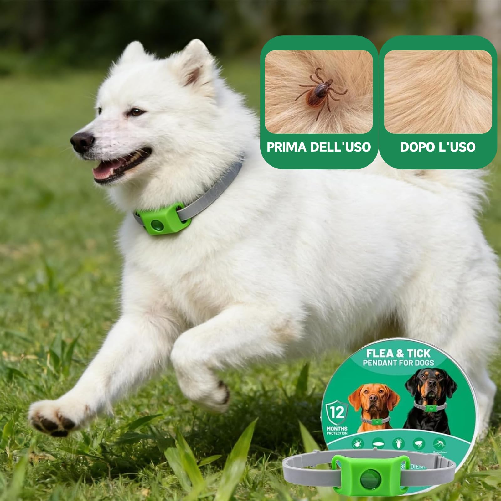 Aquality Pets Collare Antiparassitario Naturale, Collare Antiparassitario Per Cani, Adatto a Più Razze Di Animali Domestici, Gatti e Cani Universali