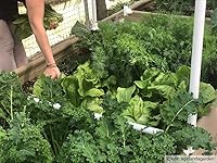 Vista 3 de Grassroots Fabric Pots Camas elevadas (2' x 4')