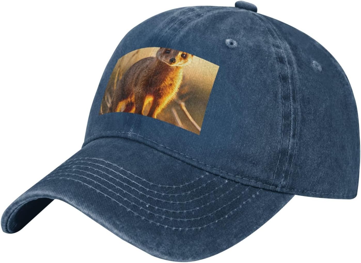 Black Baseball Cap Meerkats Printed Adjustable Cotton Hat for Men & Women Sports, Outdoor Activities, Travel