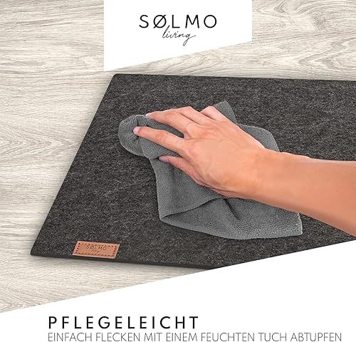 Miniatura 3 de Sølmo - Juego de 6 manteles individuales de fieltro de alta calidad, lavables, manteles individuales de 16 x 13 pulgadas, lavables, posavasos de