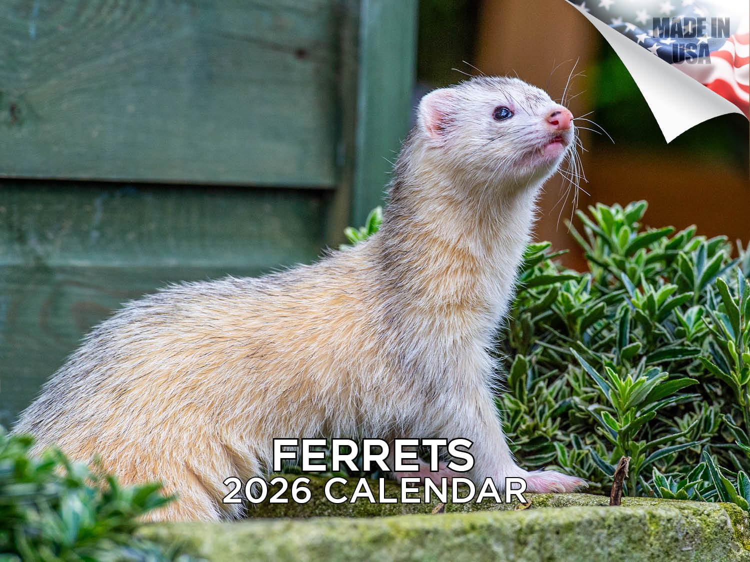 2024 2025 Ferrets Calendar - Cute Animal Monthly Wall Calendar - 12 x 18 Open - Thick No-Bleed Paper - Giftable - Academic Teacher's Planner Calendar Organizing & Planning - Made in USA