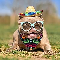 Vista 6 de Whaline Bandana mexicana para perro, bandana floral para perro, cinco de mayo, bufanda para mascotas, bufanda de doble cara ajustable de flores