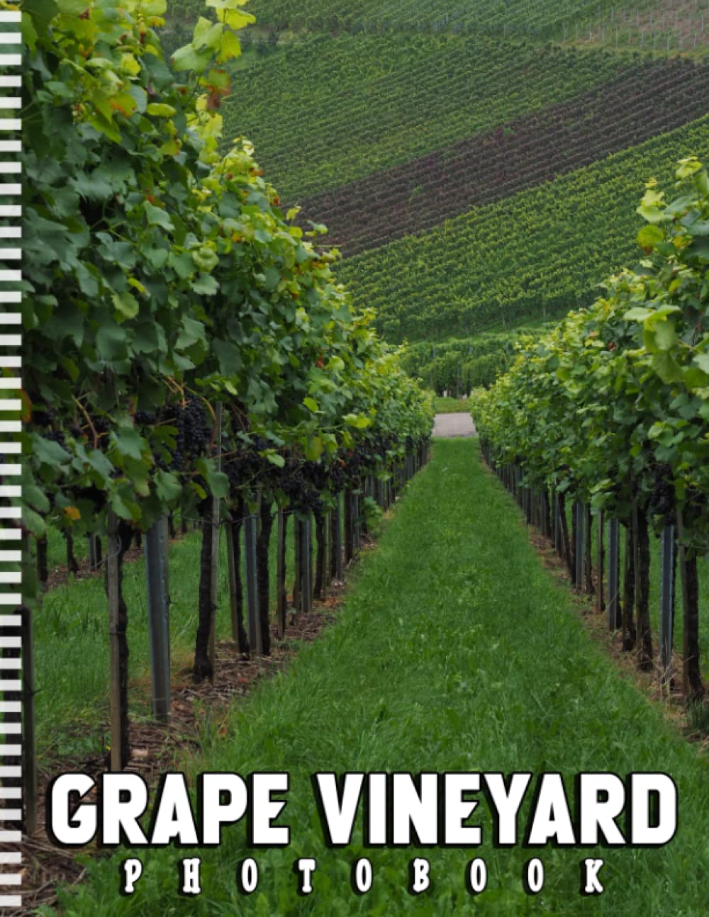 A Photo Book Of Grape Vineyard: An Album Consist Of Compelling Photos Collection Of Grape Vineyard With High Quality Images As A Special Gift For Friends, Family, Lovers, Relative