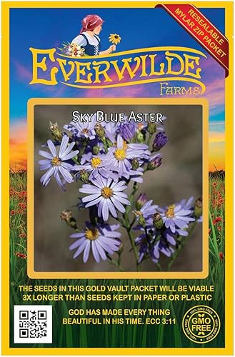 Everwilde Farms - 500 semillas de flores silvestres nativas de Aster azul cielo - Paquete de semillas jumbo Gold Vault