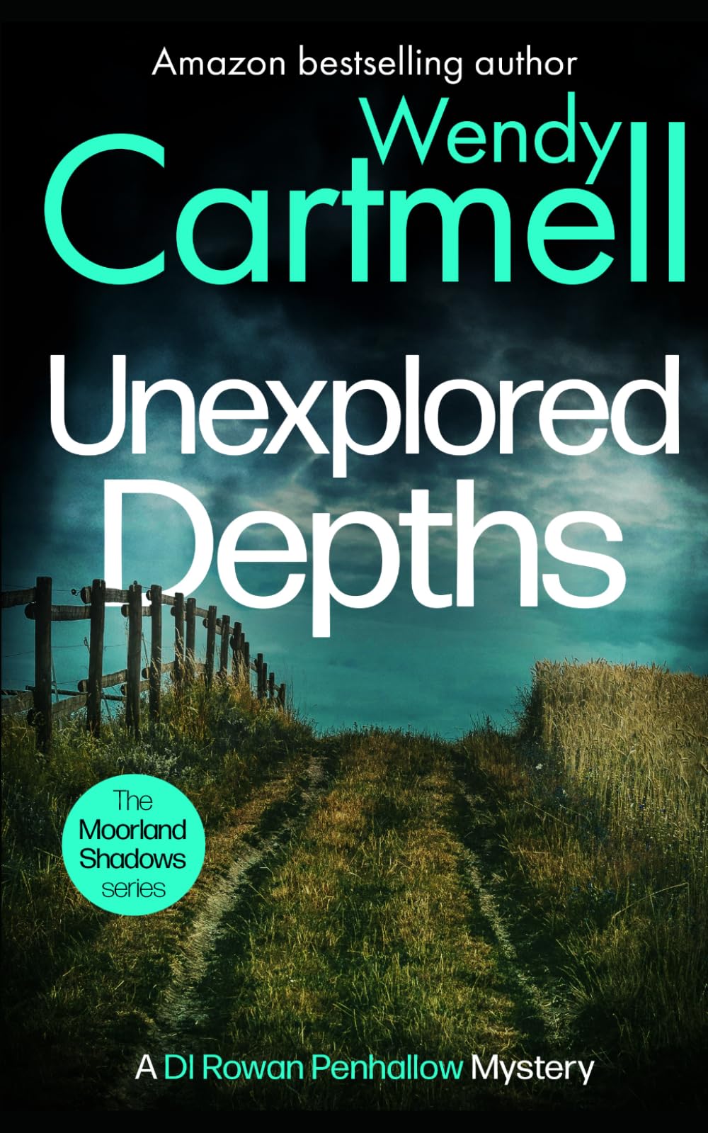 Unexplored Depths: A DI Rowan Penhallow mystery (The Moorland Shadows series)