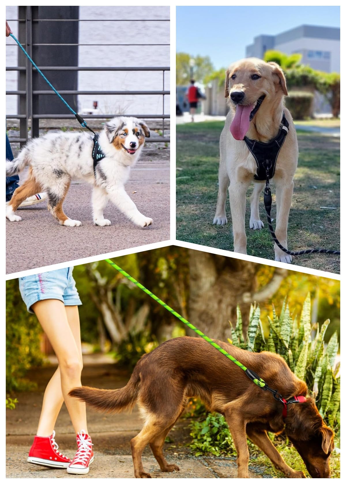 Corda in nylon resistente da 1,5 metri, Guinzaglio per Cani | Guinzaglio Addestramento con Manico Morbido | Per Cani Piccoli, Medi e Grandi (Blu, Gancio metallico)