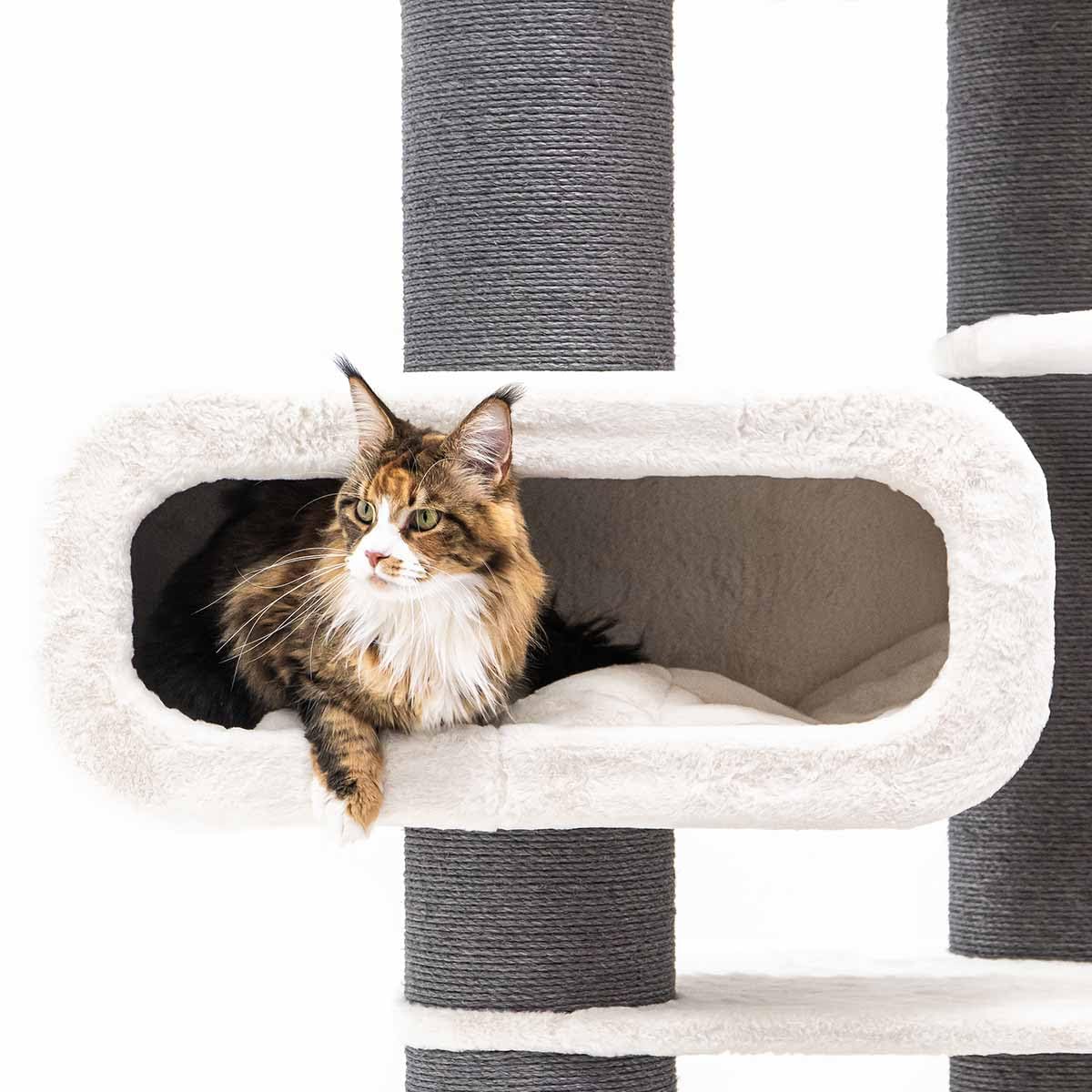 Petrebels Drapak XXL Bengal 199 cm wysokości, wzór Maine Coon drapak dla dużych kotów, kolor biały