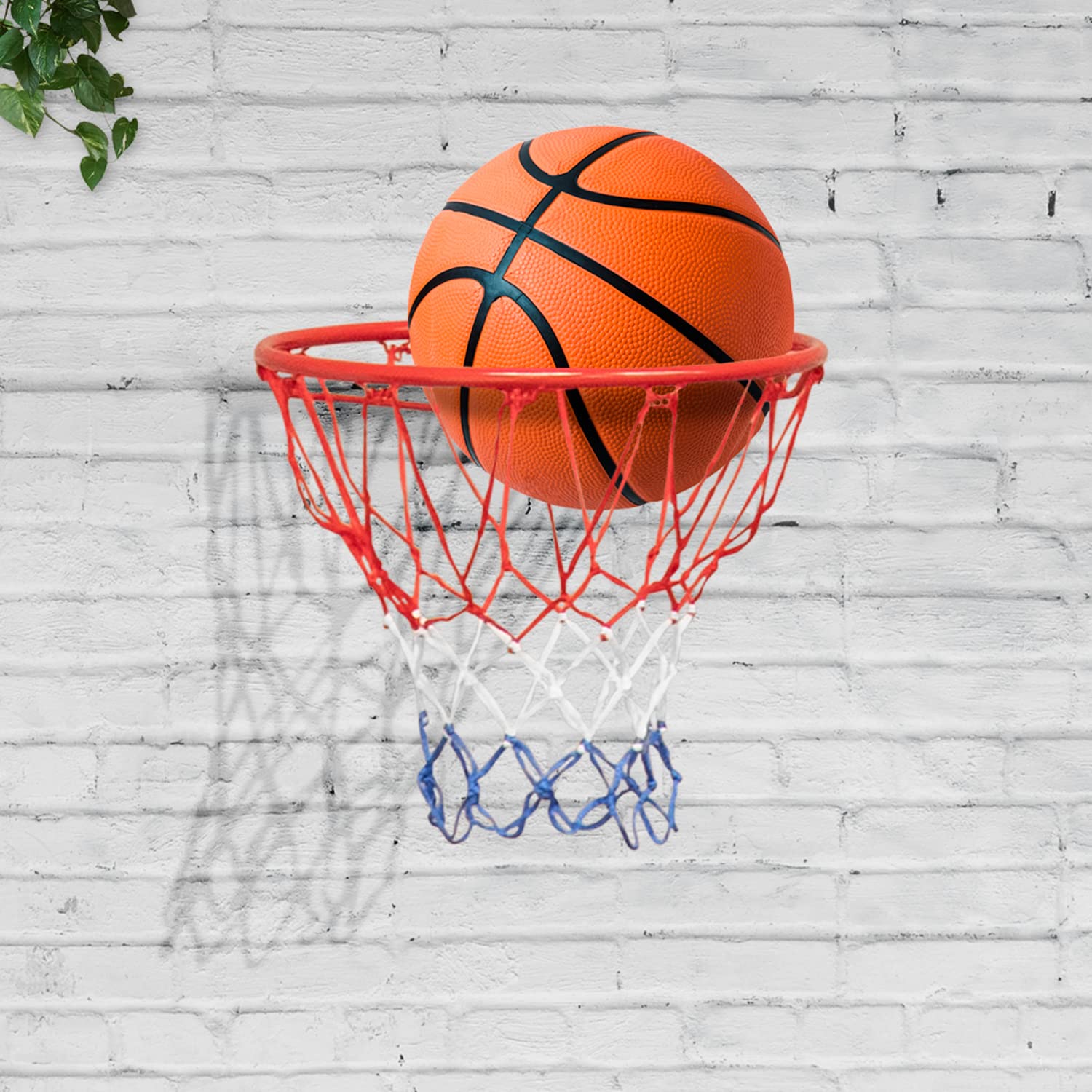 Aro de Baloncesto para Pared Malibu Diametro 45 cm y Red – Soporte de Pared Incluido