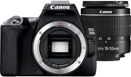 Miniatura 2 de Canon Cámara DSLR EOS 250D con lente de 0.709-2.165 in (negro) (3453C002) + bolsa EOS + tarjeta Sandisk Ultra de 64 GB + juego de limpieza y más