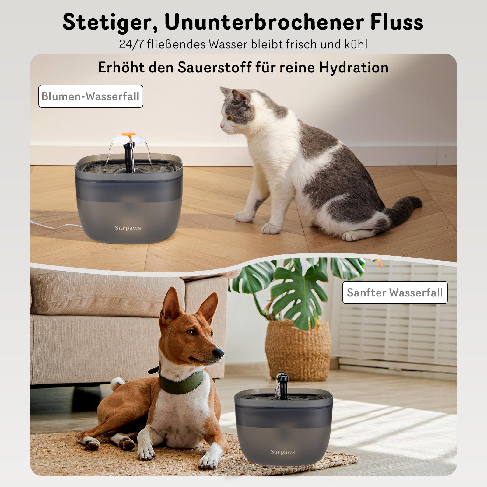 Futterautomat Katze und Katzen Trinkbrunnen FW1, Draht oder Batterie Futterspender Katze 3L Timer Pet Feeder - Verriegelbarer Deckel, Trockenmittelbeutel, programmierbare Portionskontrolle