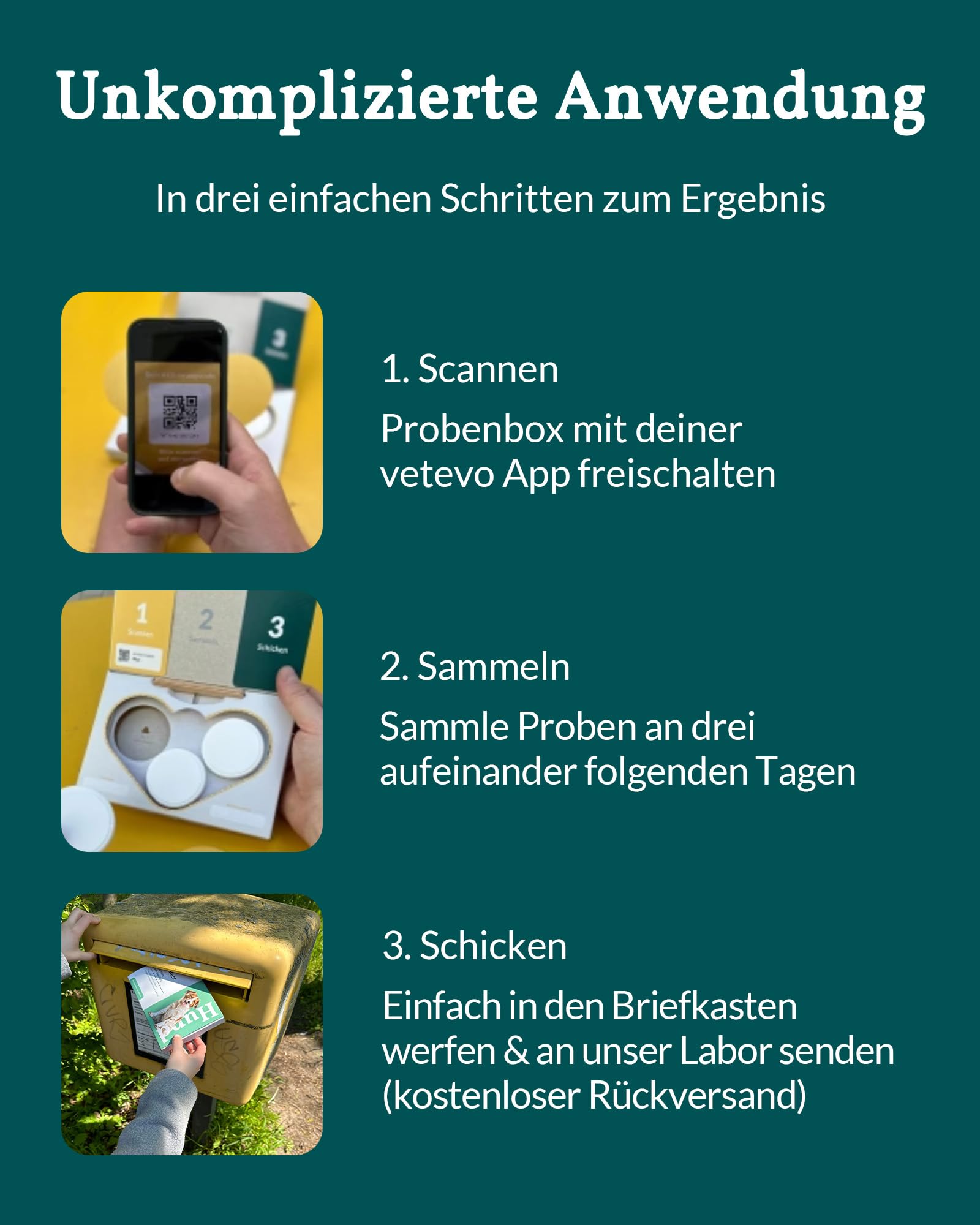 vetevo Wurmtest Hund Plus, inkl. Giardien, Bandwürmer, Lungenwürmer Hund, 10x Präziser Wurmtest für Hunde, Ergebnis in 24h, Für alle Hunde