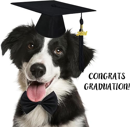 Miniatura 2 de GOYOSWA Traje de graduación para perro, gorra de graduación para perro con borlas negras 2023, corbata ajustable de graduación para perro y collar