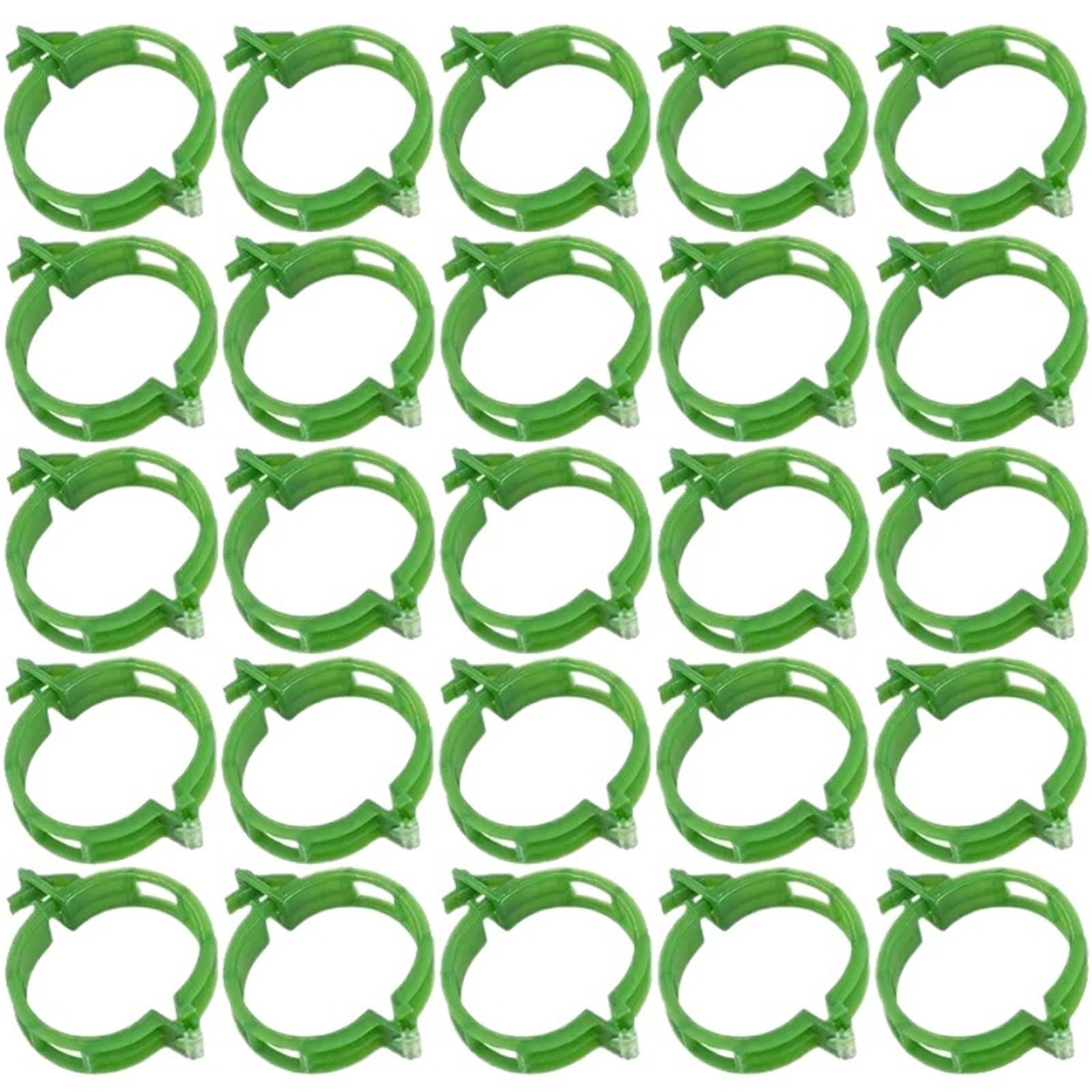 2000 Stück Pflanzenstütz-Clips für Weinveredelung, Befestigungsclip, Weinpflanzen-Halter, Schnalle, Gartenzubehör (grün)
