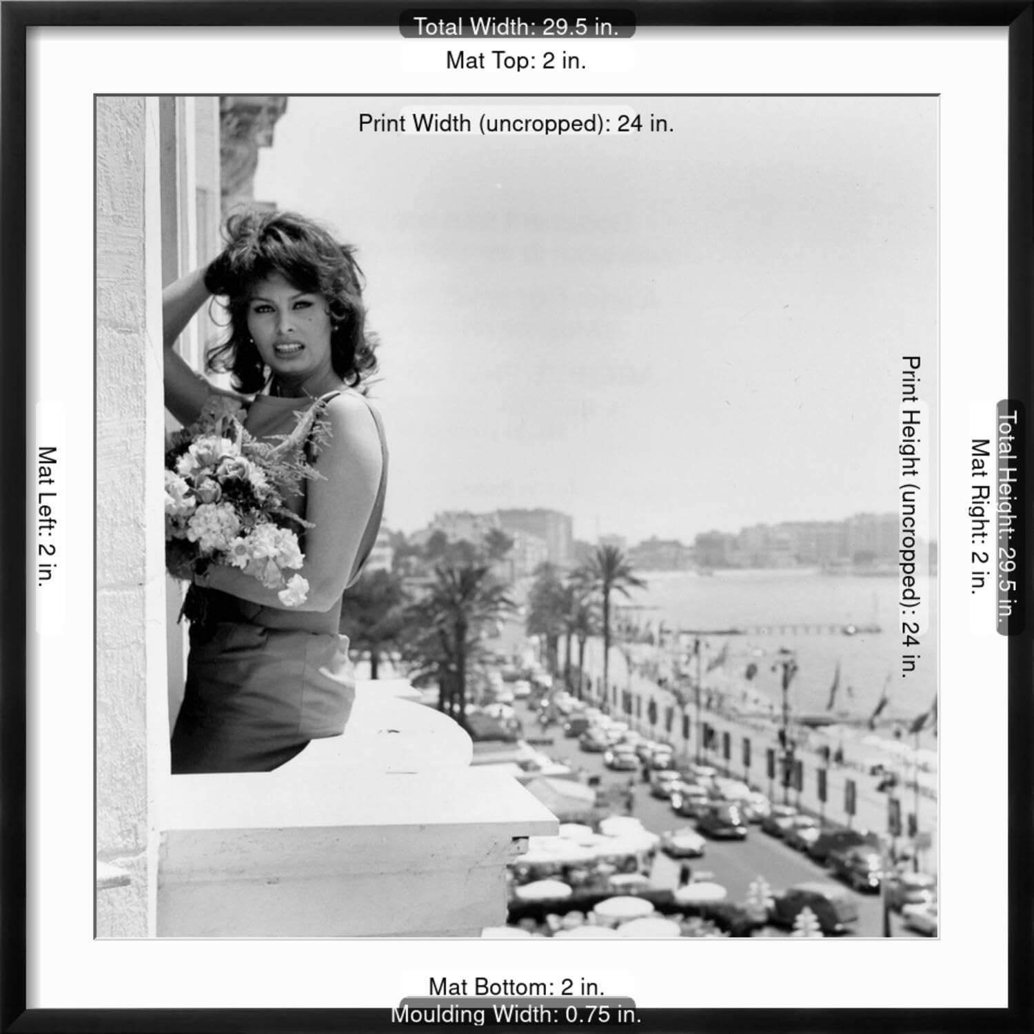 Amazon.com: Art.com Wall Photo Sophia Loren on Black Frame, 29