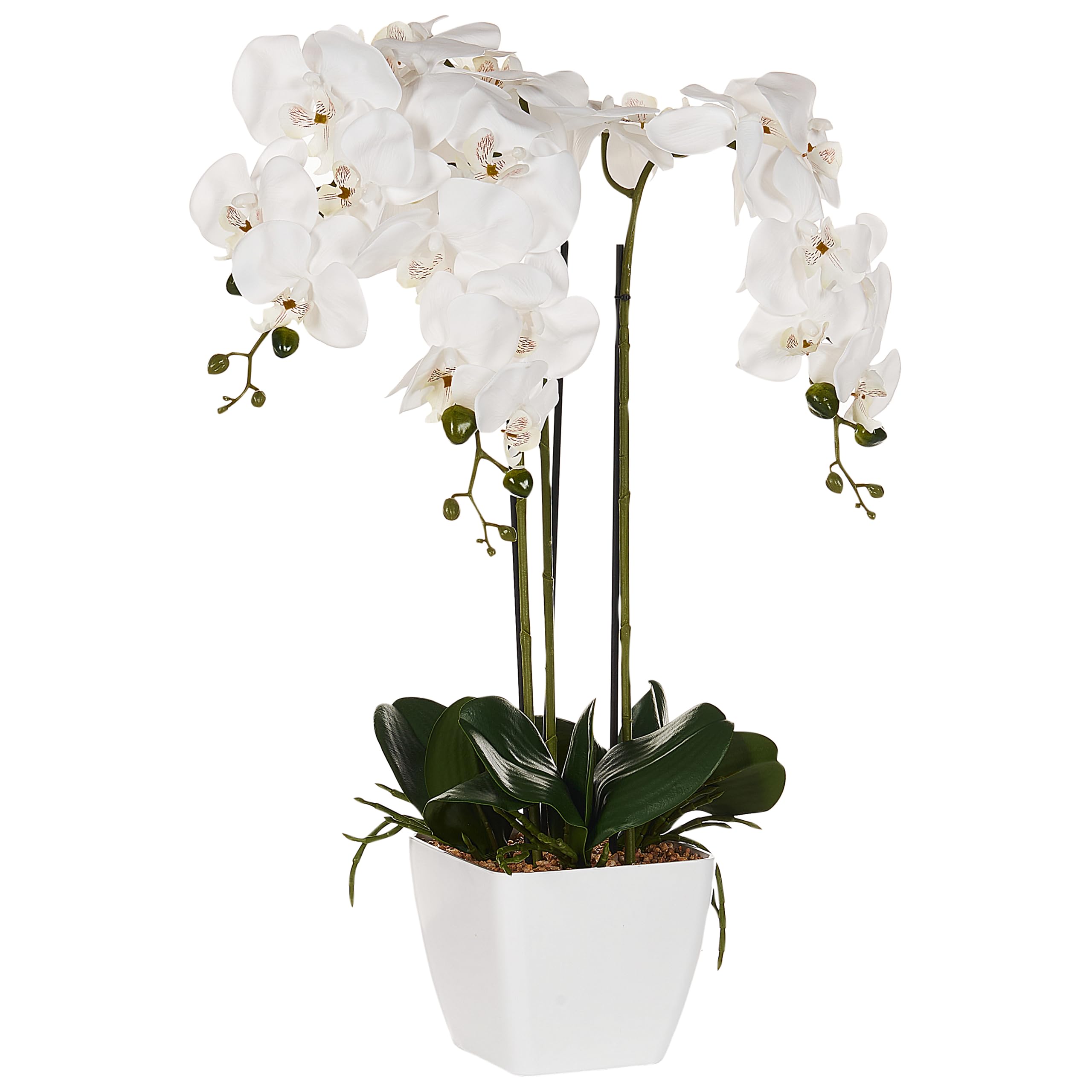 Plante Artificielle en Pot Orchidée 59 cm Décoration Intérieur Plastique Orchid