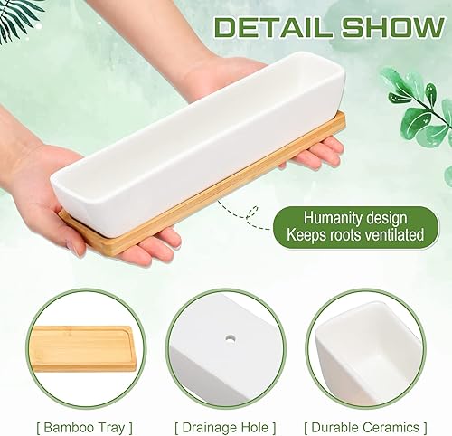 Miniatura 3 de Weewooday 4 macetas blancas para suculentas de 11 pulgadas de largo, rectangular, de cerámica, adecuadas para interiores y exteriores, hogar,