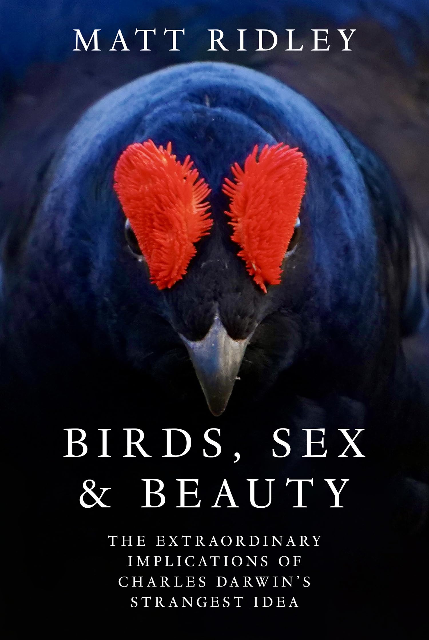 Birds, Sex and Beauty, Contemporary Fiction, Hardback, Matt Ridley