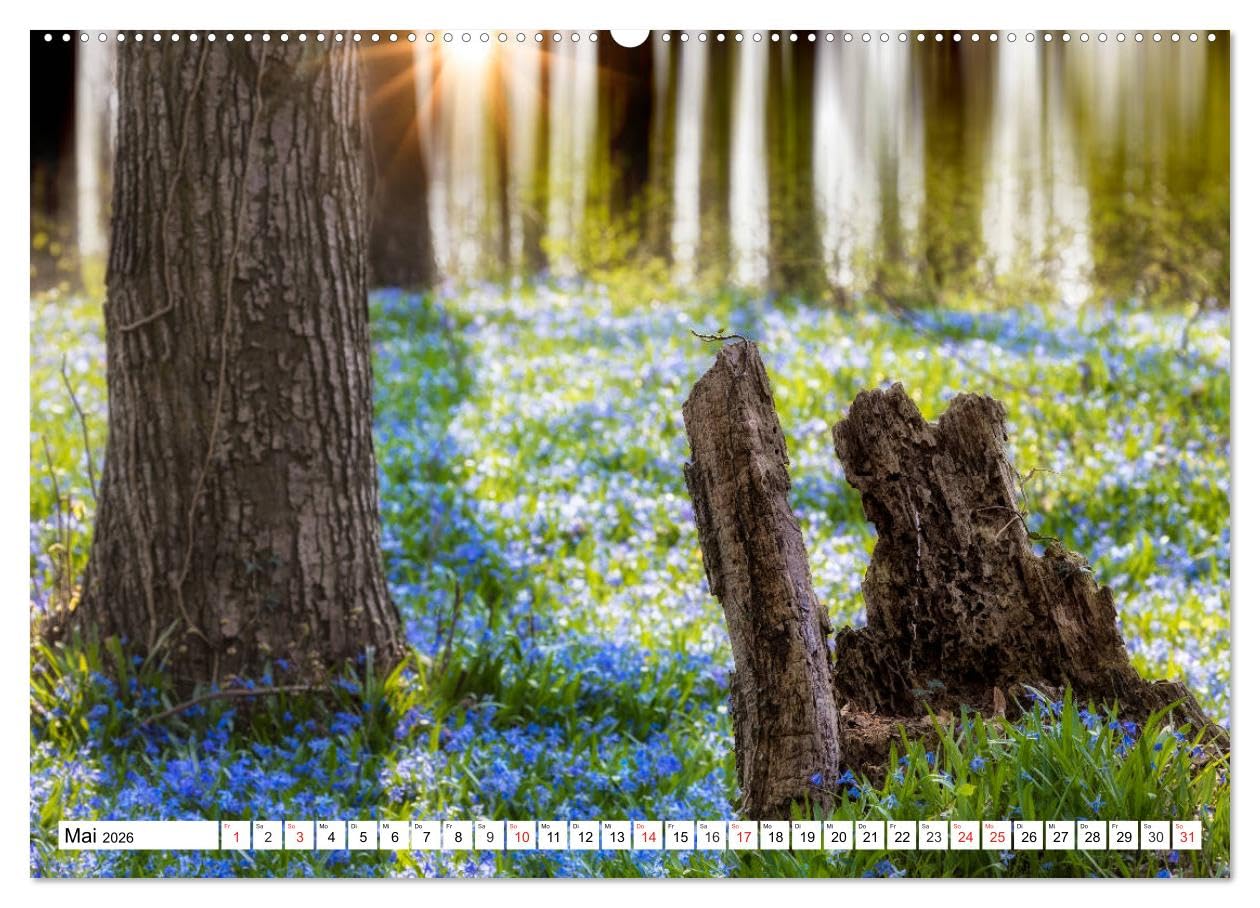 Die Uckermark - Eine Reise durch die Toskana des Nordens (hochwertiger Premium Wandkalender 2026 DIN A2 quer), Kunstdruck in Hochglanz: Reizvolle Landschaften und Orte der Uckermark (CALVENDO Natur)